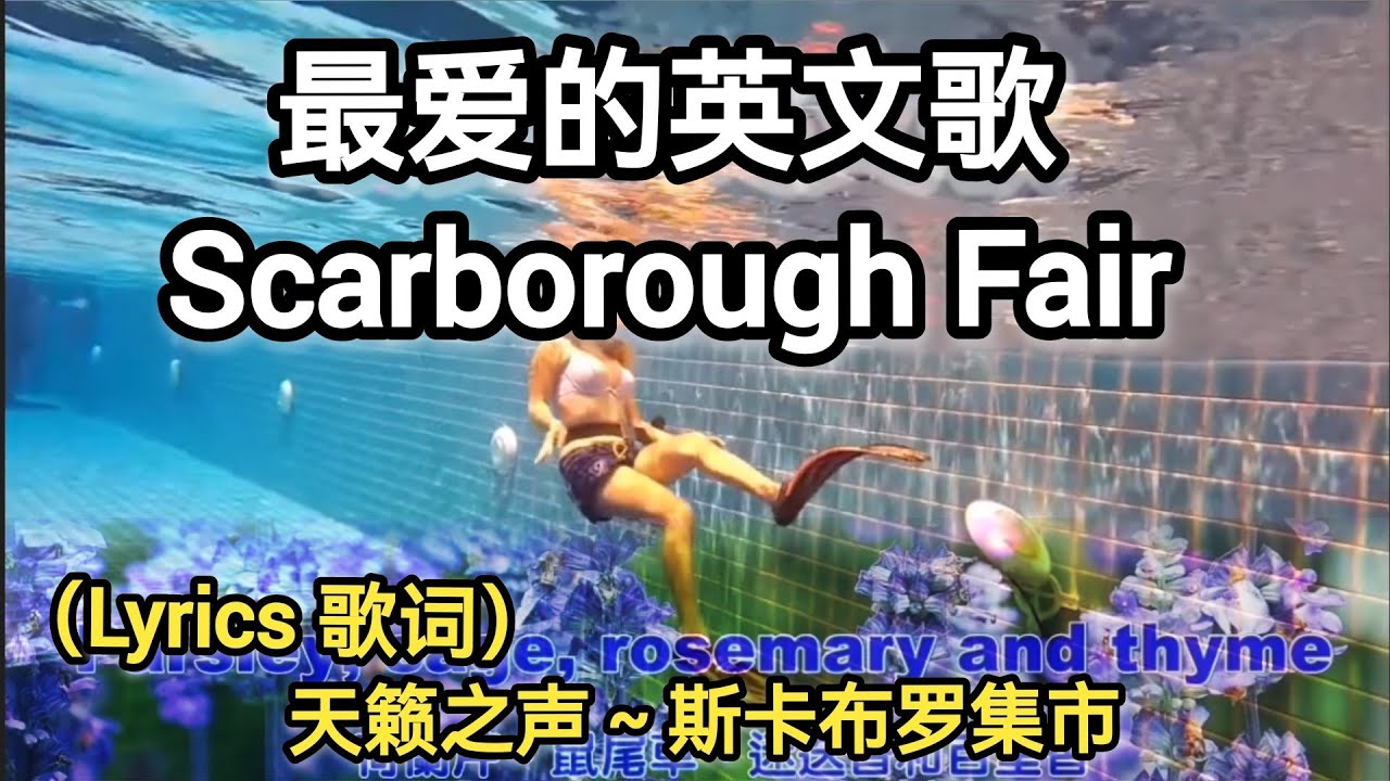 Favorite Song : Scarborough Fair（lyrics 歌词）｜天籁之声～英国民歌 斯卡布罗 集市｜背景视频～beginner freediving dynamic apnea