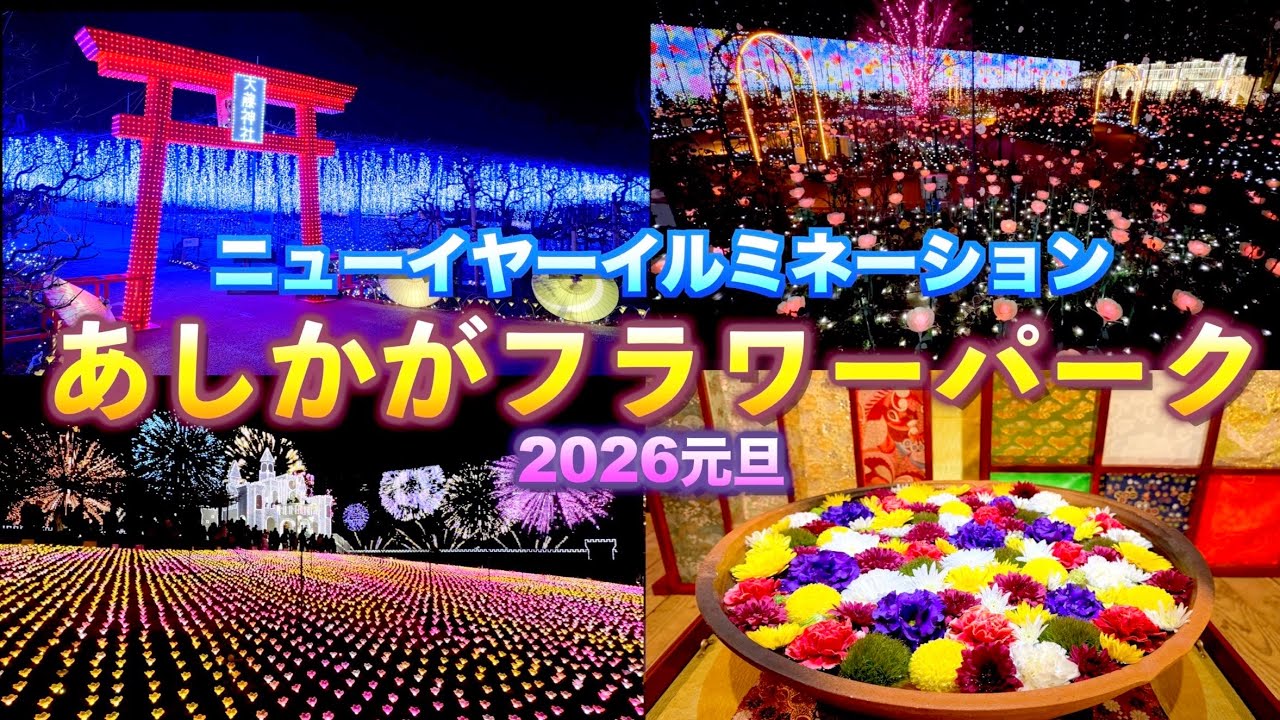 ４Ｋ／【ニューイヤーイルミネーション〜光とボタンの競演〜】【あしかがフラワーパーク2026.元旦】【栃木県　足利市】／ASHIKAGA FLOWER PARK