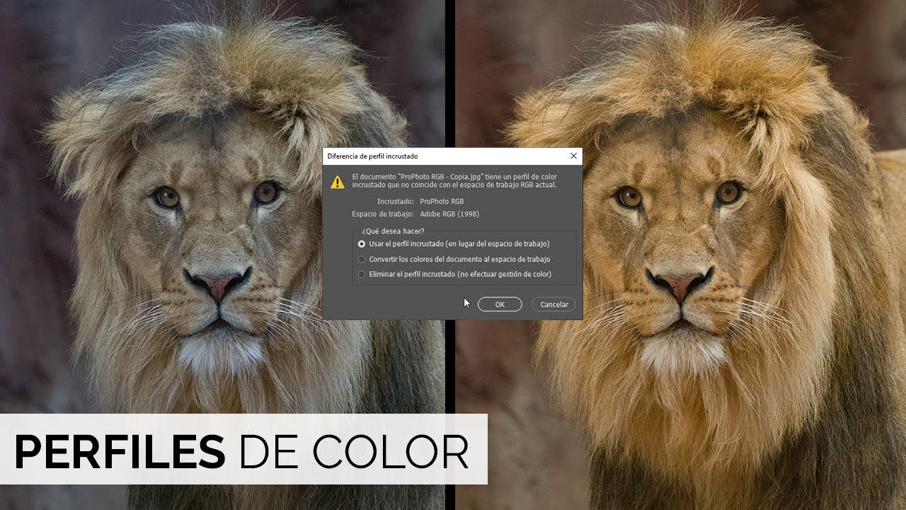 Espacio de color: todo lo que NECESITAS SABER sobre los perfiles o espacios de color