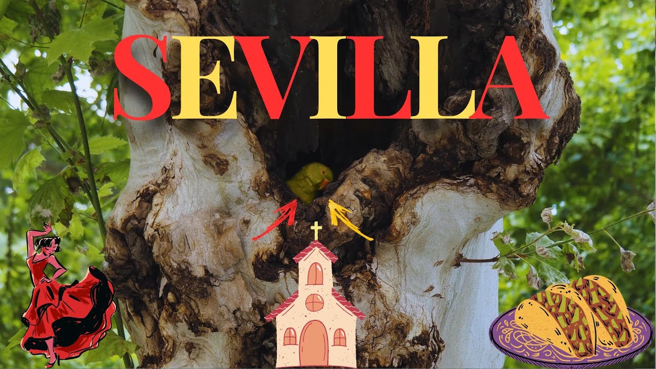 Podr&oacute;że z Majkossem: Sevilla - Moje ulubione miasto w Europie! &hearts;