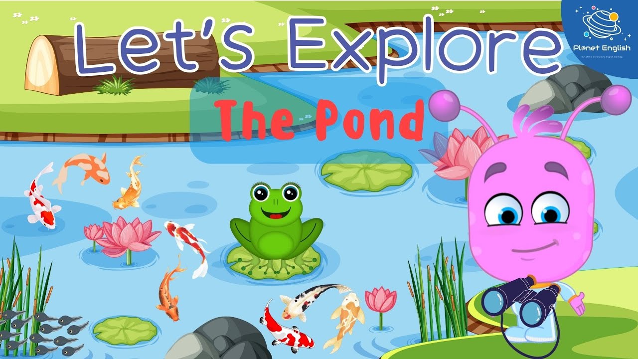 Let's Explore The Pond for Kindergarten | EYFS