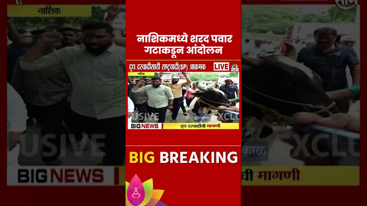 #shorts Sharad Pawar Group Protest : दुधाच्या दरासाठी शरद पवार गटाचे आंदोलन
