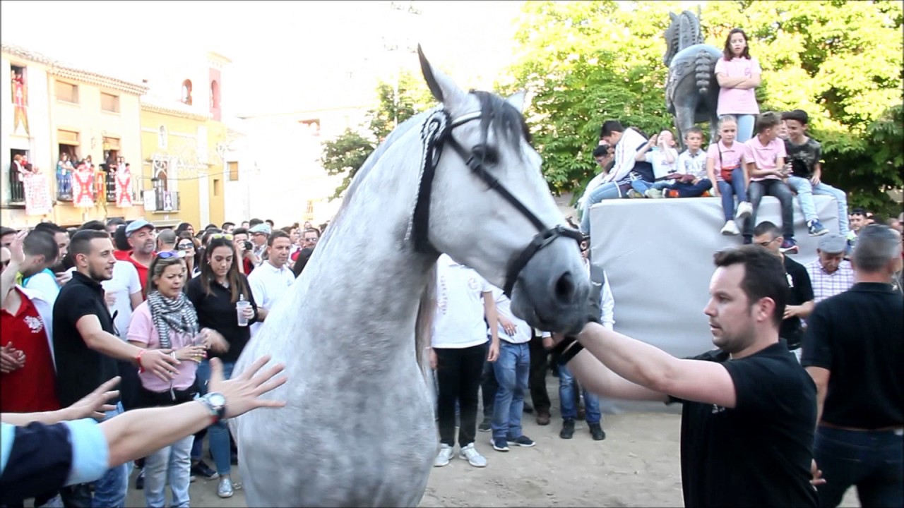 2017_05 👀 Fiestas de Mayo día 1 Concurso de Caballos a Pelo Caravaca de la Cruz by zAkAtYn