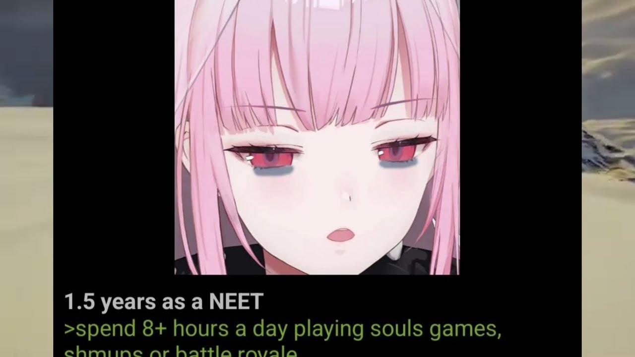 The NEETs of 4Chan