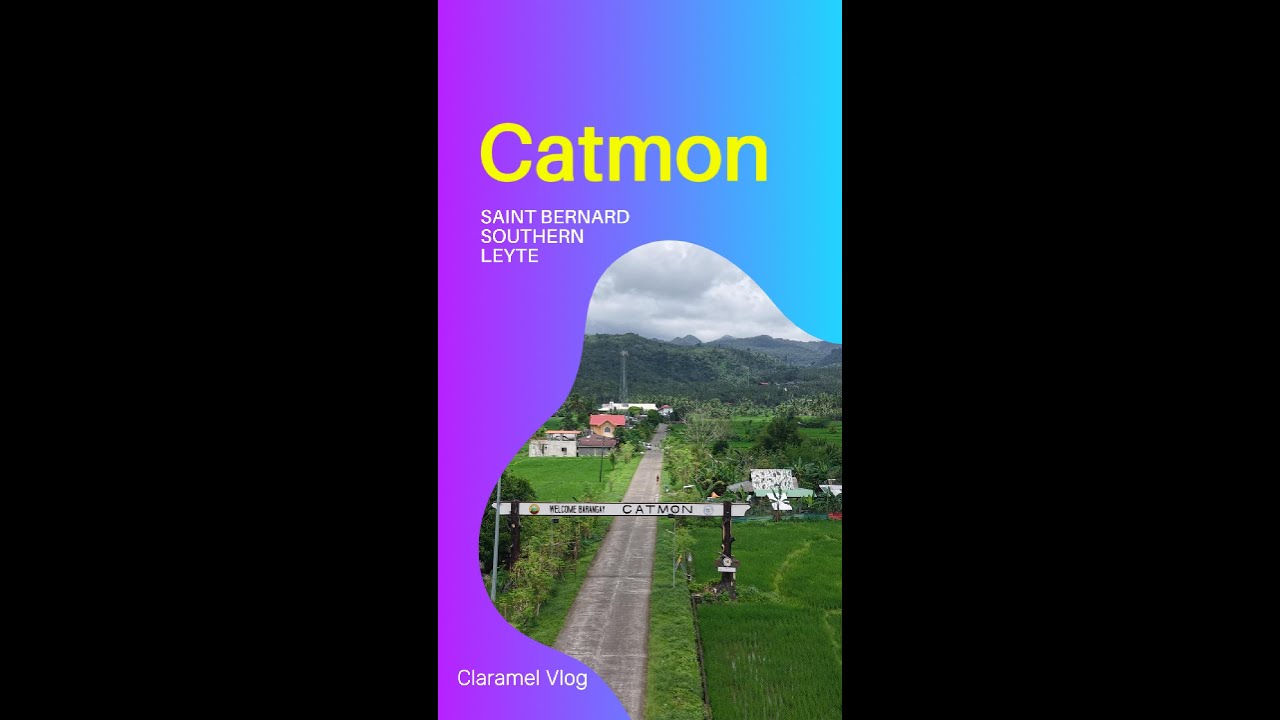 Catmon Saint Bernard