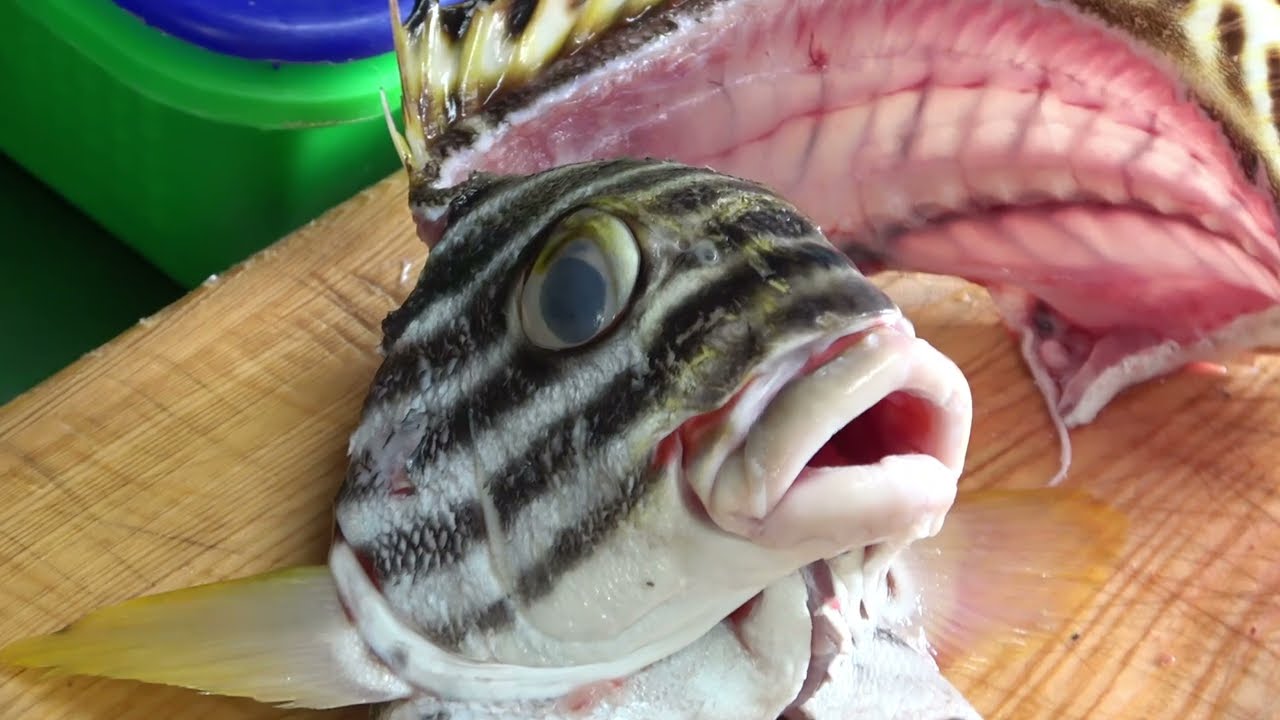 How to fillet Crescent grunter fish for Sashimi - Taiwanese street food