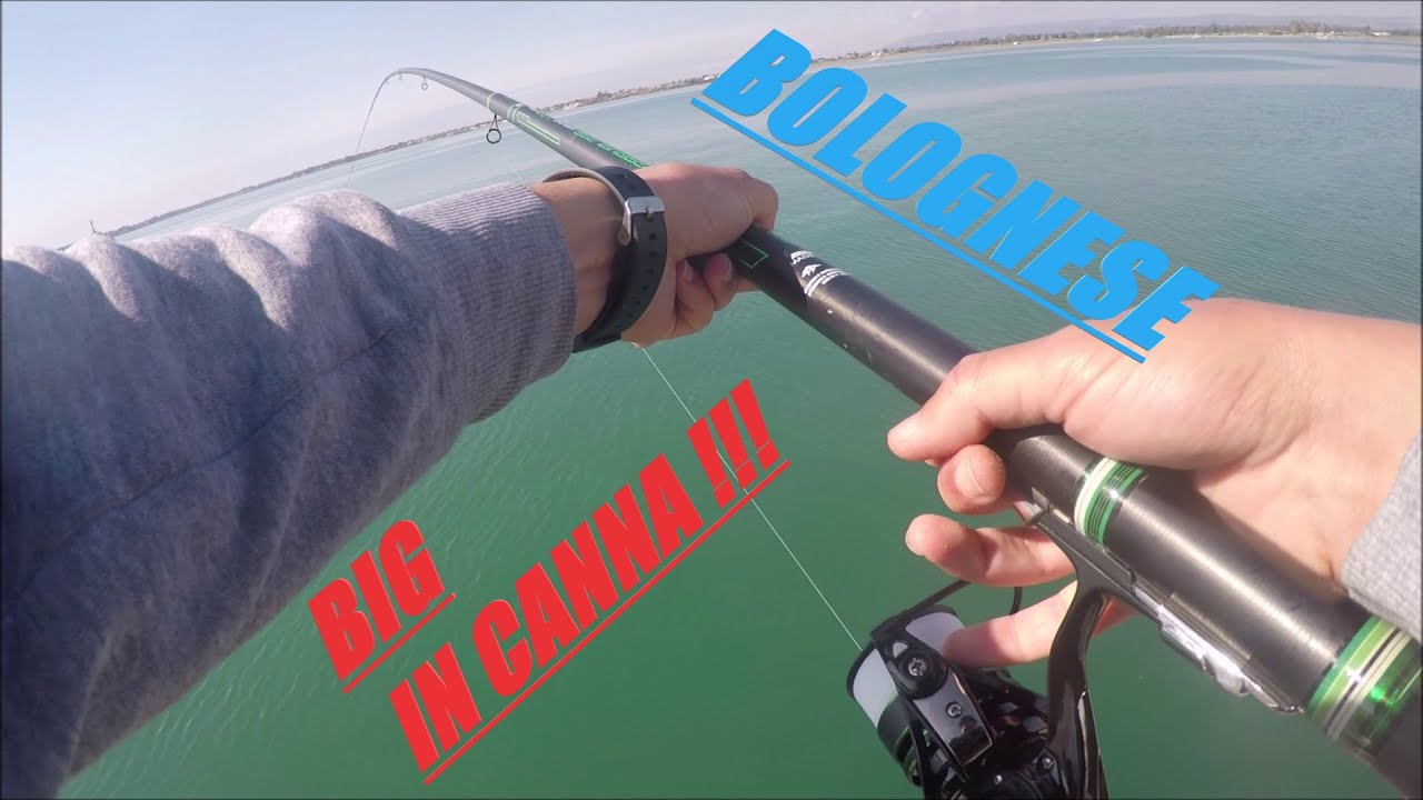 BATTAGLIA EPICA con un GIGANTE del PORTO - PESCA a BOLOGNESE e BIGATTINO (20+ mins of fight)