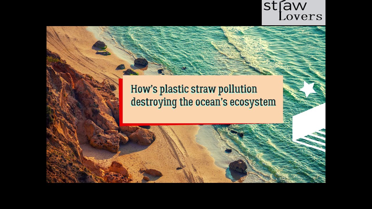 How&rsquo;s plastic straw pollution destroying the ocean&rsquo;s ecosystem?