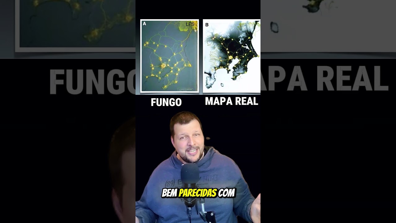 O fungo que foi mais inteligente do que engenheiros japoneses!