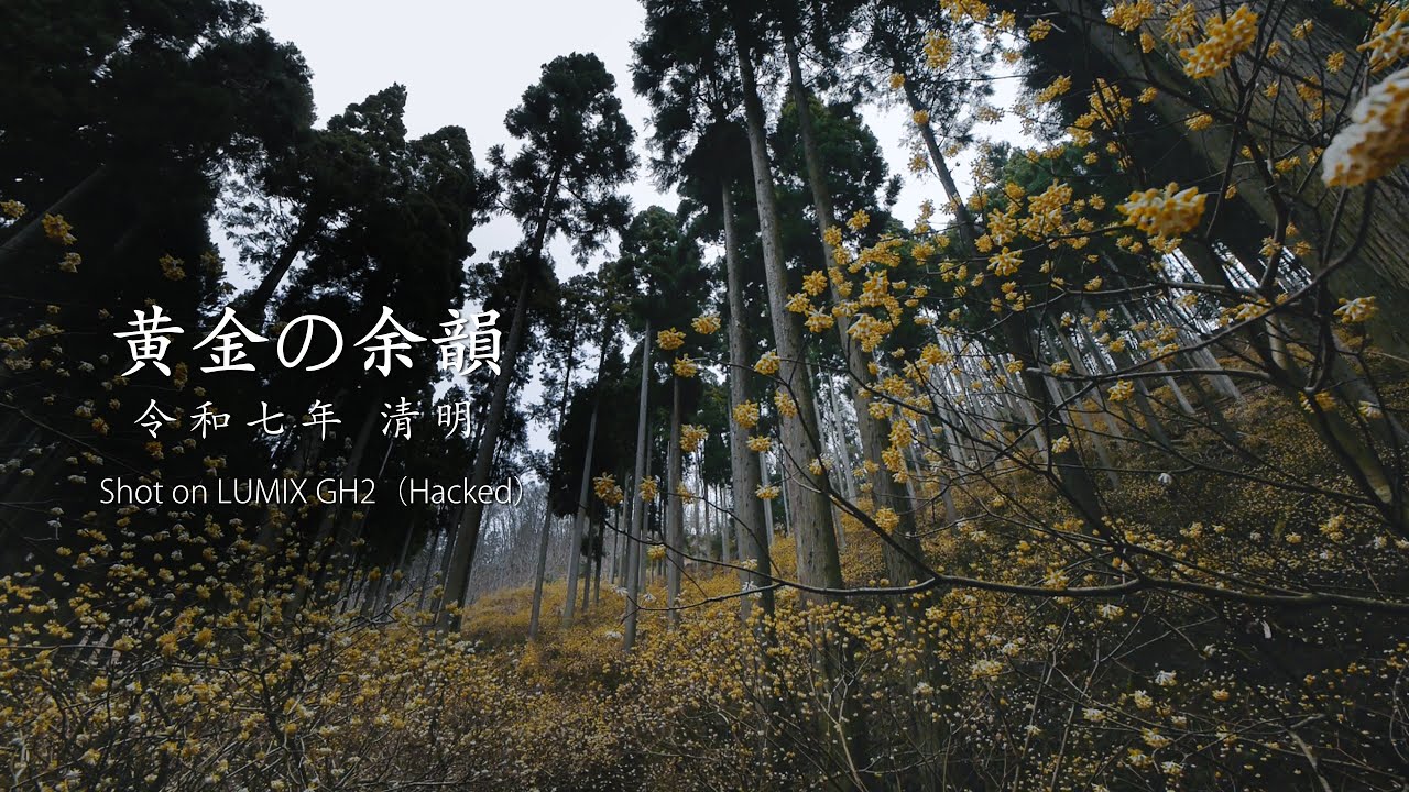 黄金の余韻 Shot on GH2(Hacked)