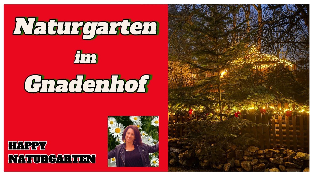 Tiere im Gnadenhof in Weihnachtsstimmung      #naturgarten #gnadenhof #lebenshof #biotope 