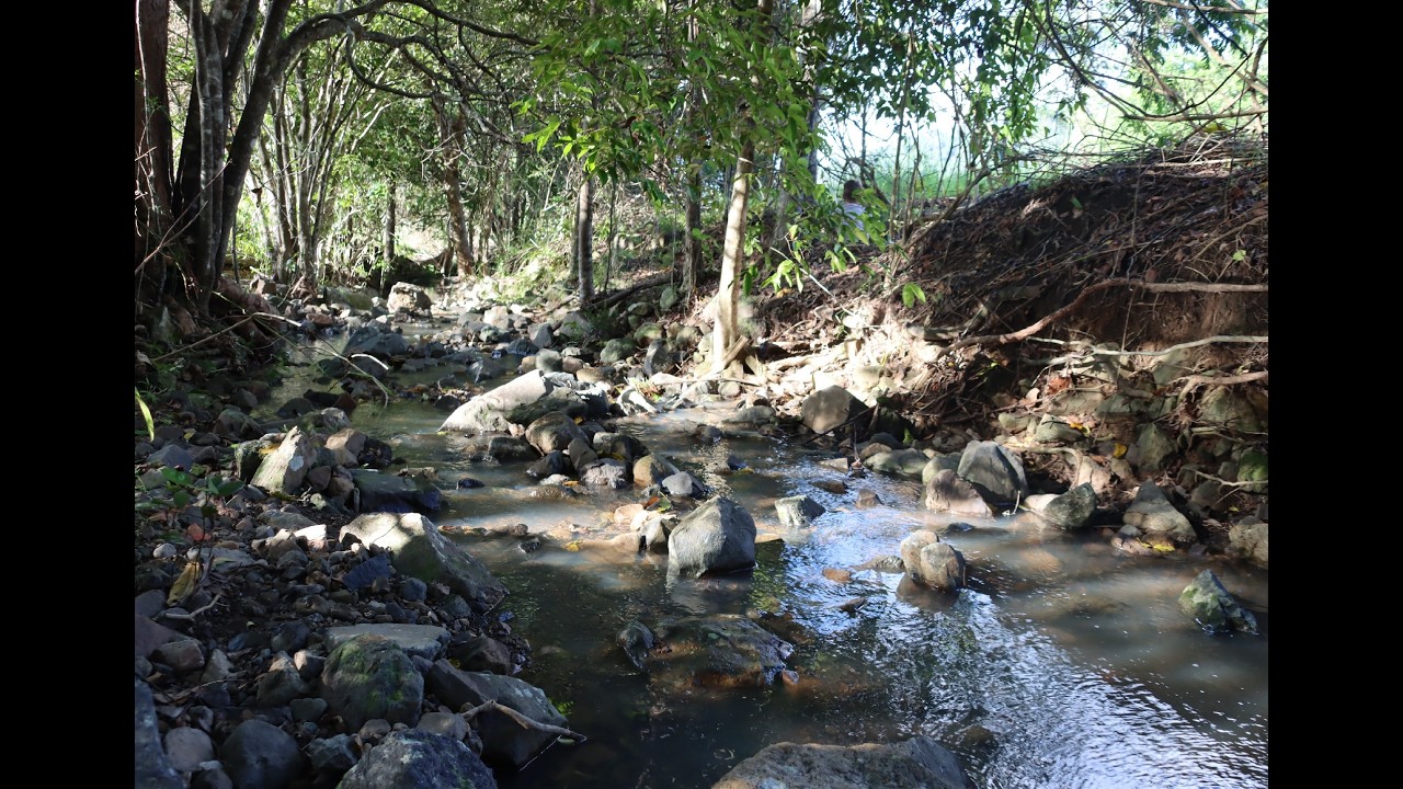 Hidden Gem relax sleep nature calm
