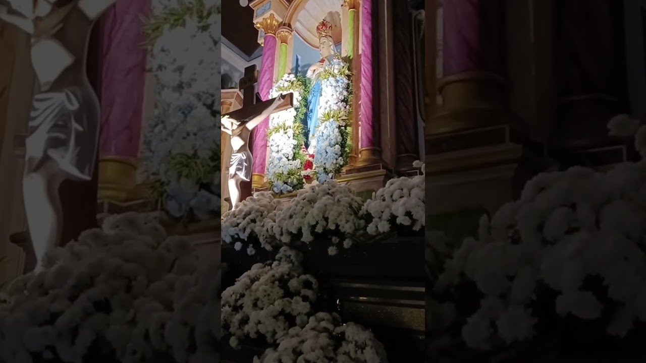 Амма Унтан🌹🙏 #shortsfeed #rcchristiansongs #mathasongstamil #kesavanputhenthurai