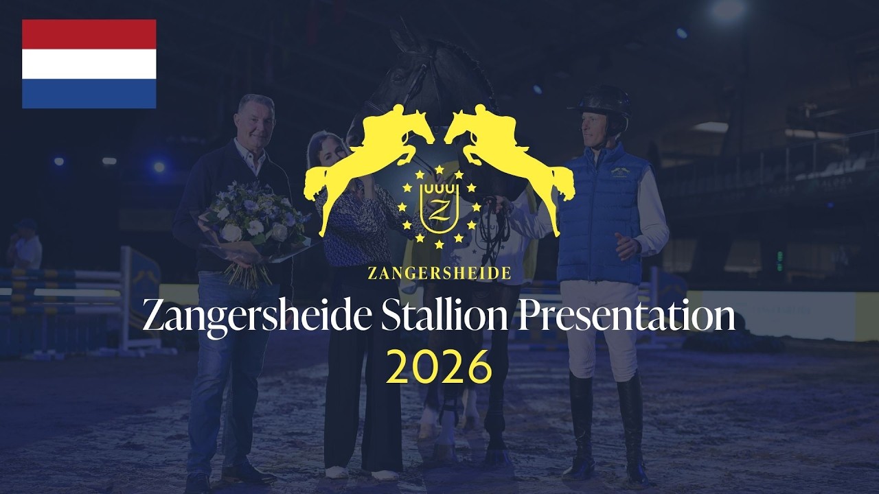 Zangersheide Stallion Presentation 2026 - Dutch Commentary