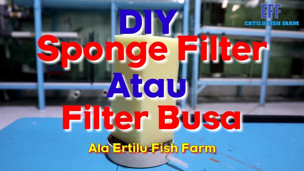 DIY Filter Sponge Atau Filter Busa Ala Ertilu Fish Farm