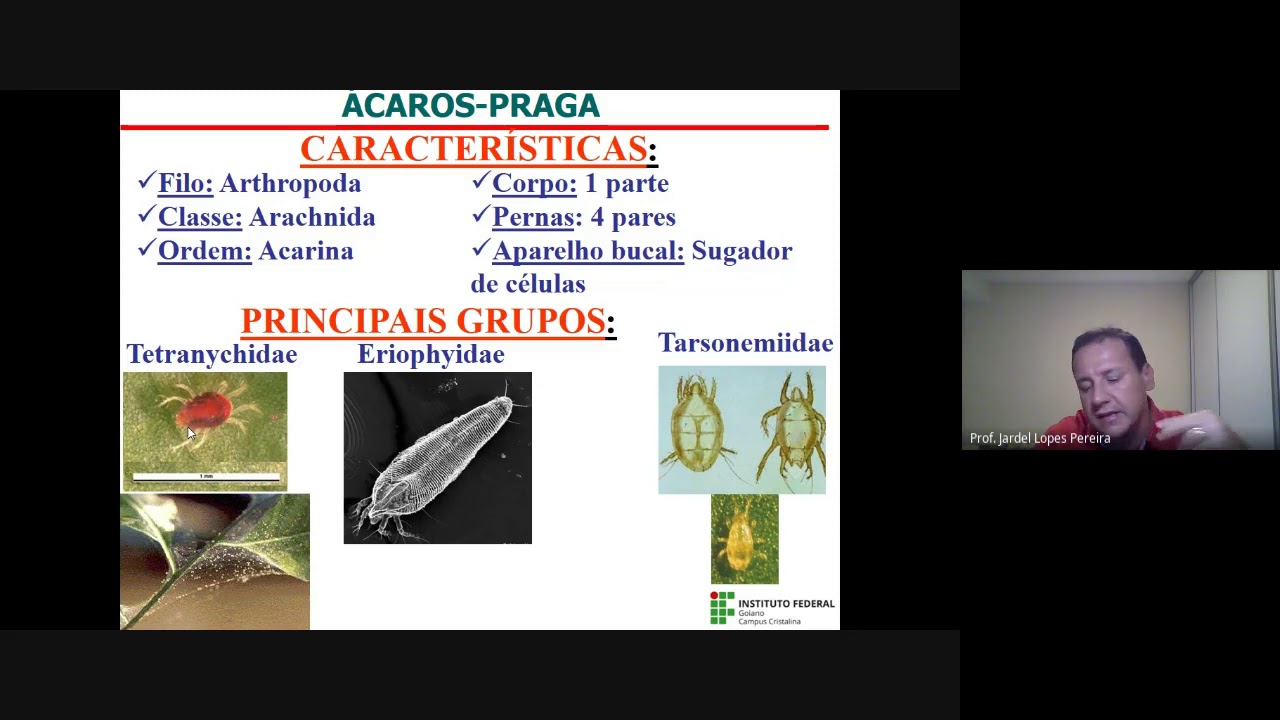 Aula 4  - Identificação e Controle Cultural de Pragas