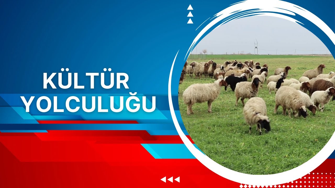 Kültür Yolculuğu - 12. Bölüm (Biravcılı Köyü)