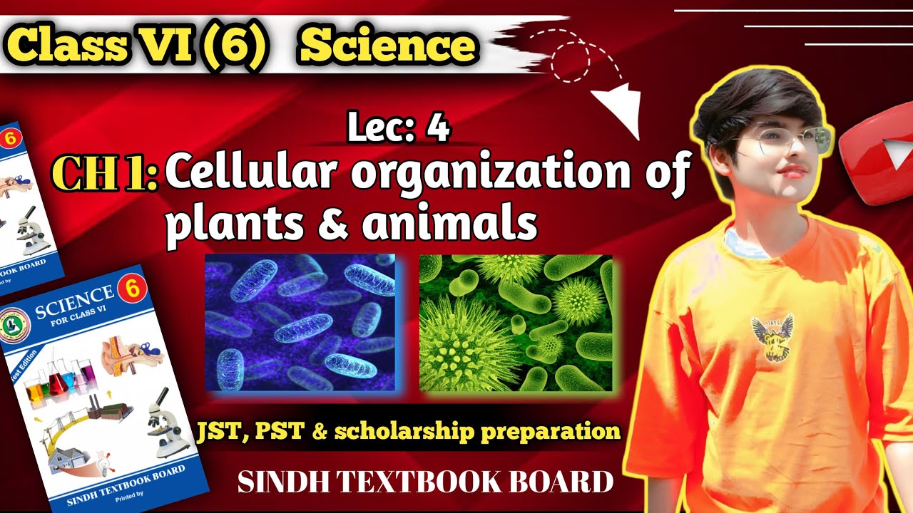 Class 6: Science | Chapter 1: Cellular Organization Of Plants And Animals | Lec: 4 | Sindh textbook