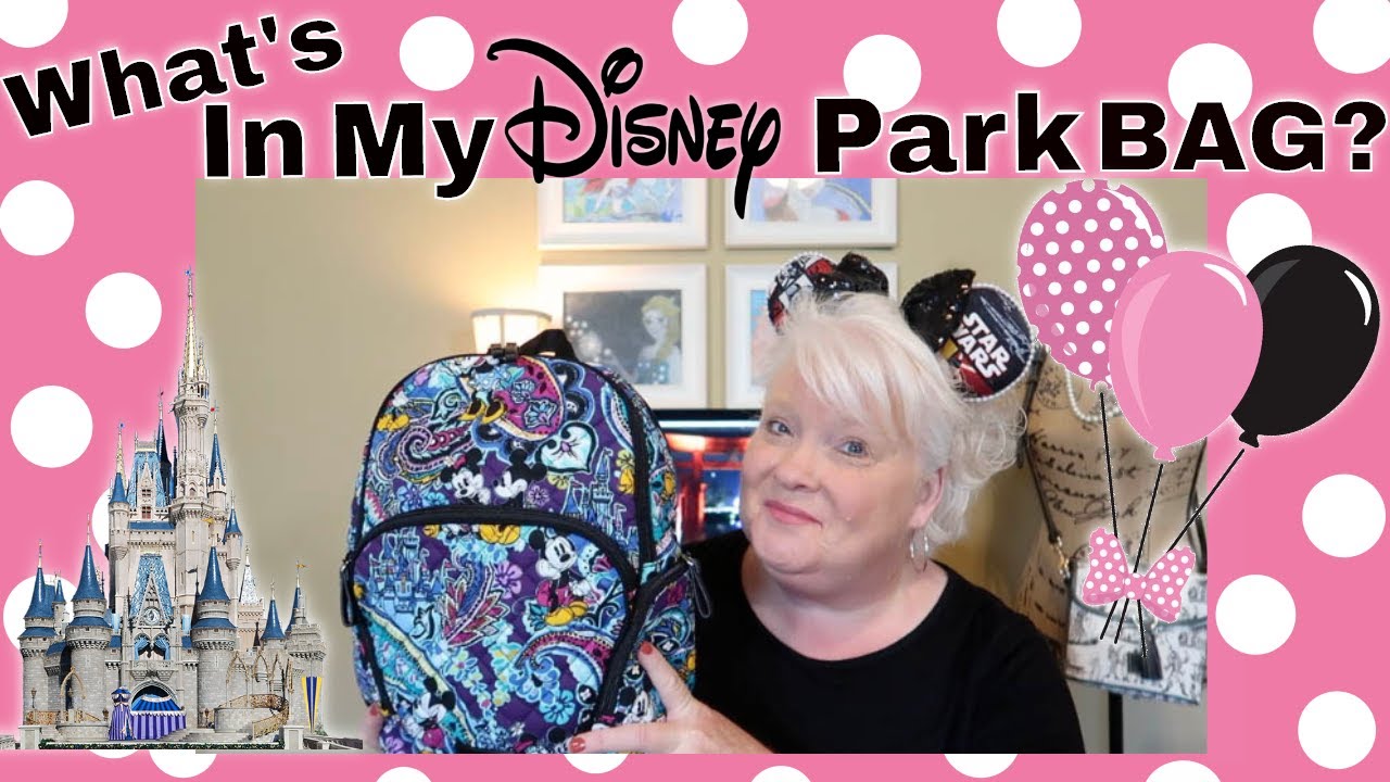 What's In My DISNEY PARK Bag? DISNEY PLANNING!! Items You'll Need At The Parks!