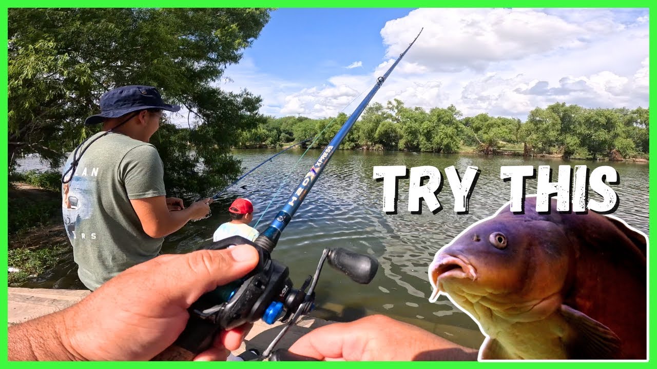 Do This Now For Quick Carp | Espada Park