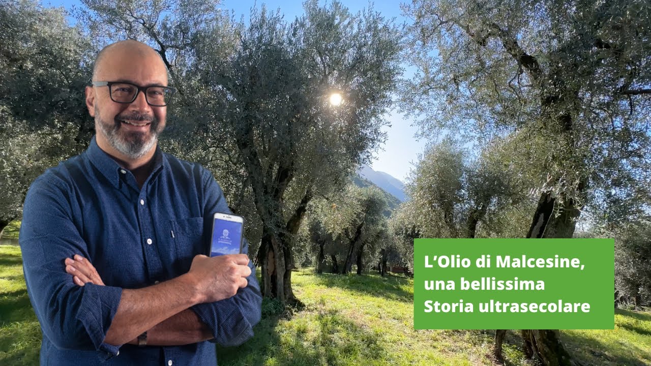 L'Olio di Malcesine, una Storia plurisecolare