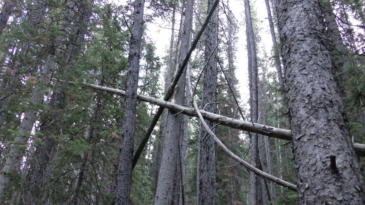 WIND-ART