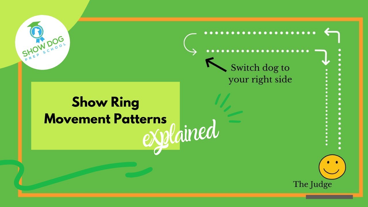 No more getting confused with the gaiting patterns in the show ring!