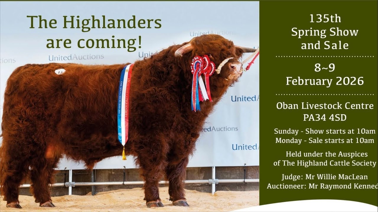 Highland Cattle Show at Oban 10.00am on Sunday 8th February’26