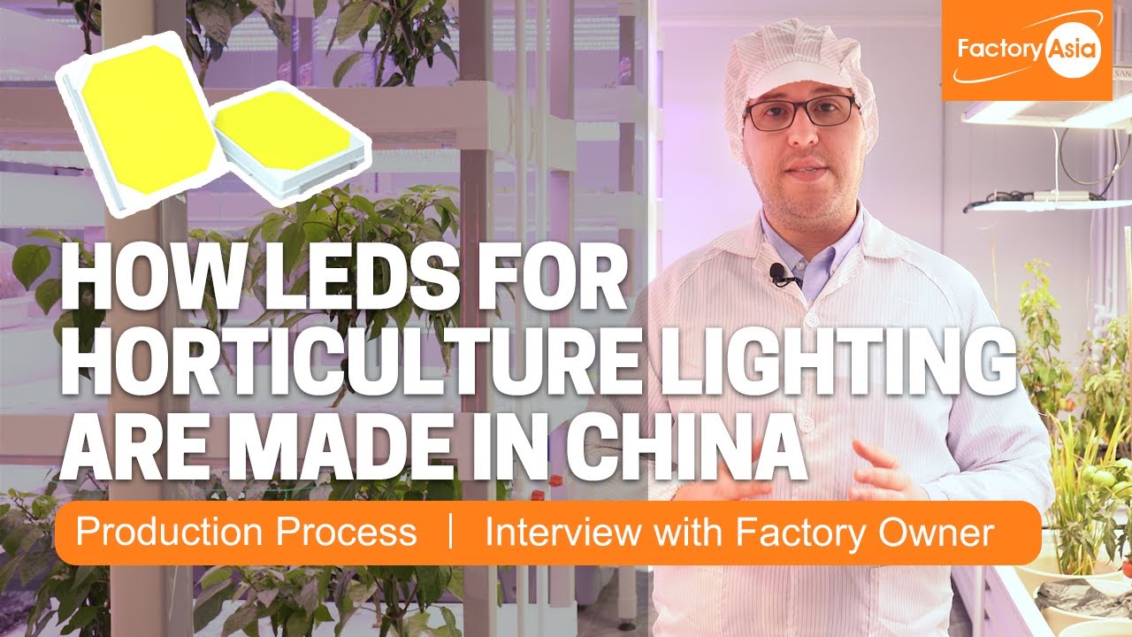 How LEDs for Horticulture Lighting are Made in China | Inside a Plant Grow LED Chip Factory in China