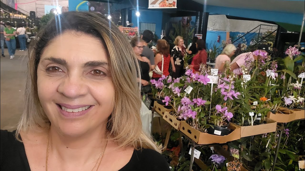 &Aacute;rea de Vendas - Exposi&ccedil;&atilde;o de Orqu&iacute;deas de S&atilde;o Bernardo do Campo-SP 