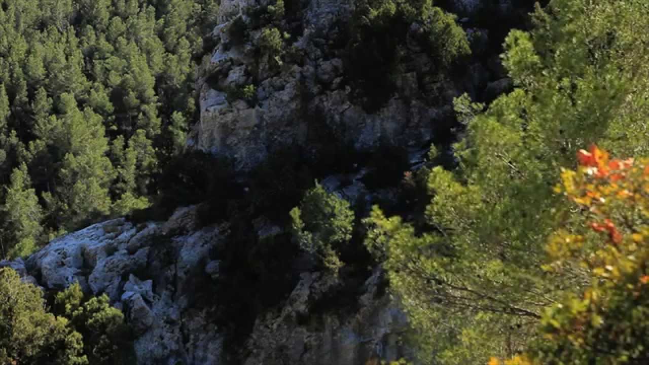 CUEVAS DE LA ARAÑA