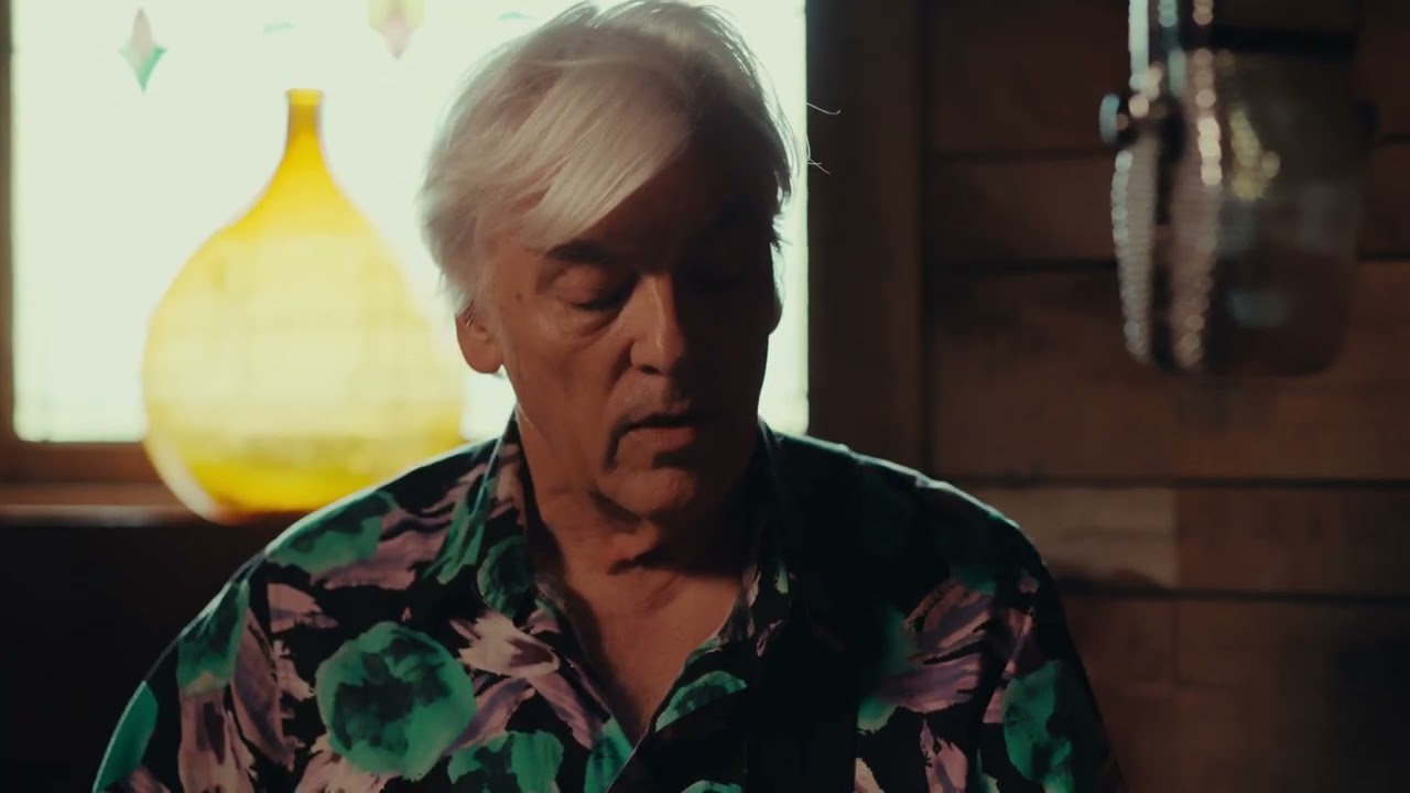 Robyn Hitchcock - 