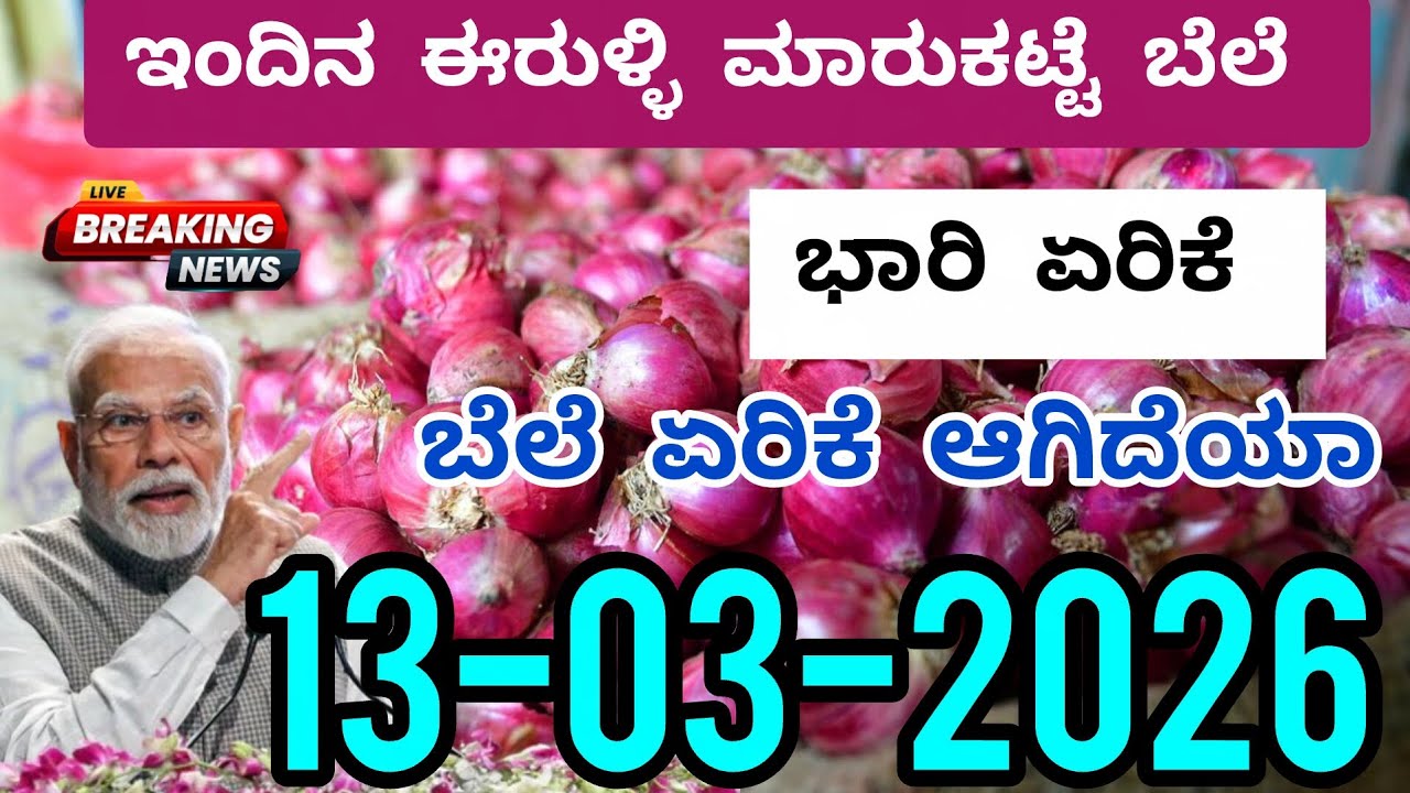 Today Onion Market Rate | 13-03-2026 | ಈರುಳ್ಳಿ ಮಾರುಕಟ್ಟೆ ಬೆಲೆ #onion #onionrate #onionprice #rate 