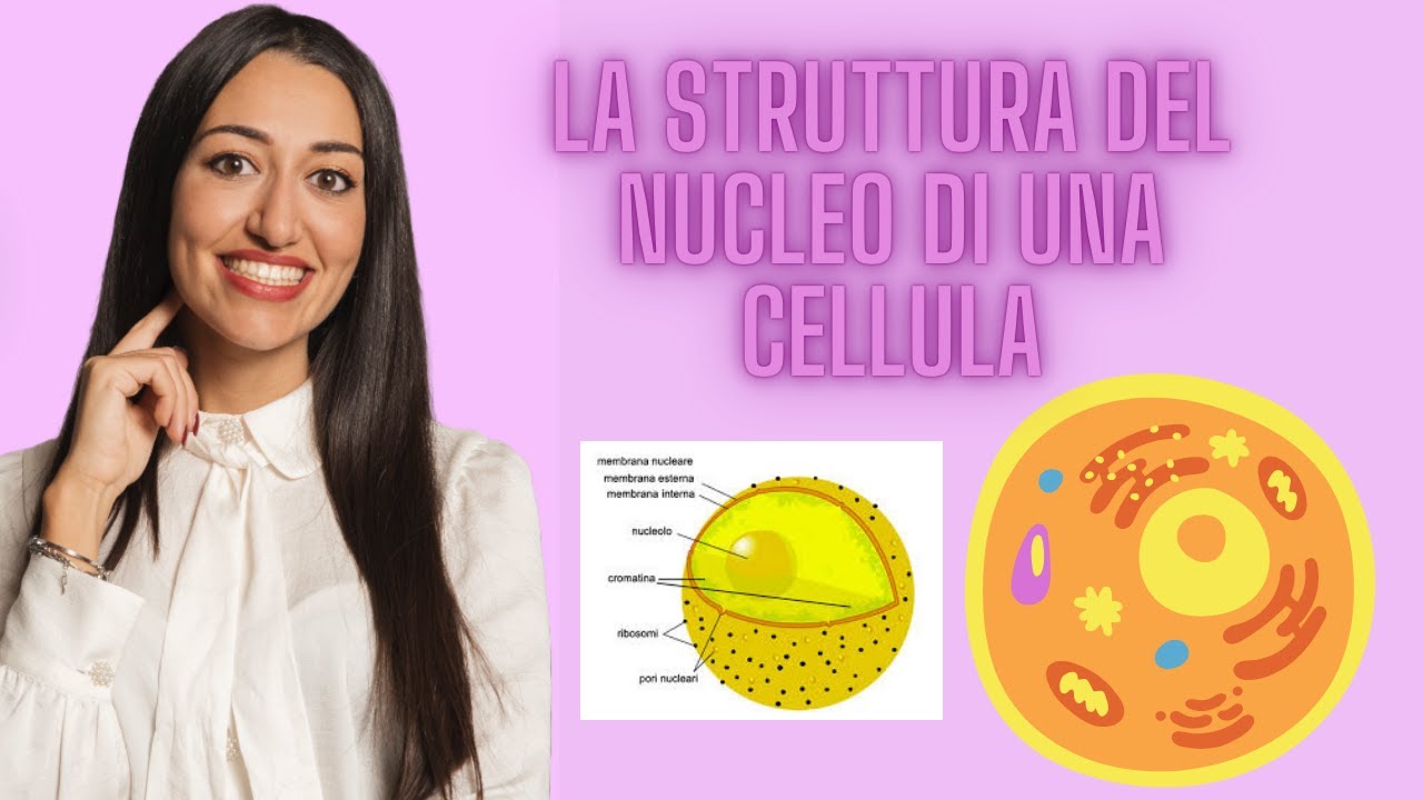 LA STRUTTURA DEL NUCLEO -  CELLULA EUCARIOTE