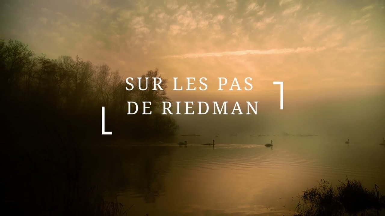 Le Ried en centre Alsace, sur les pas de RiedMan,