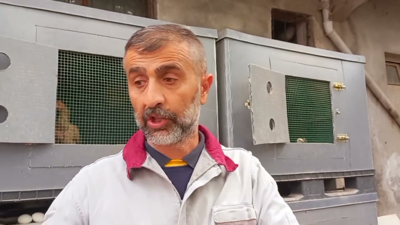 #155# ALACAĞIMIZ TAVUĞU NEYE GÖRE ALMALIYIZ?!