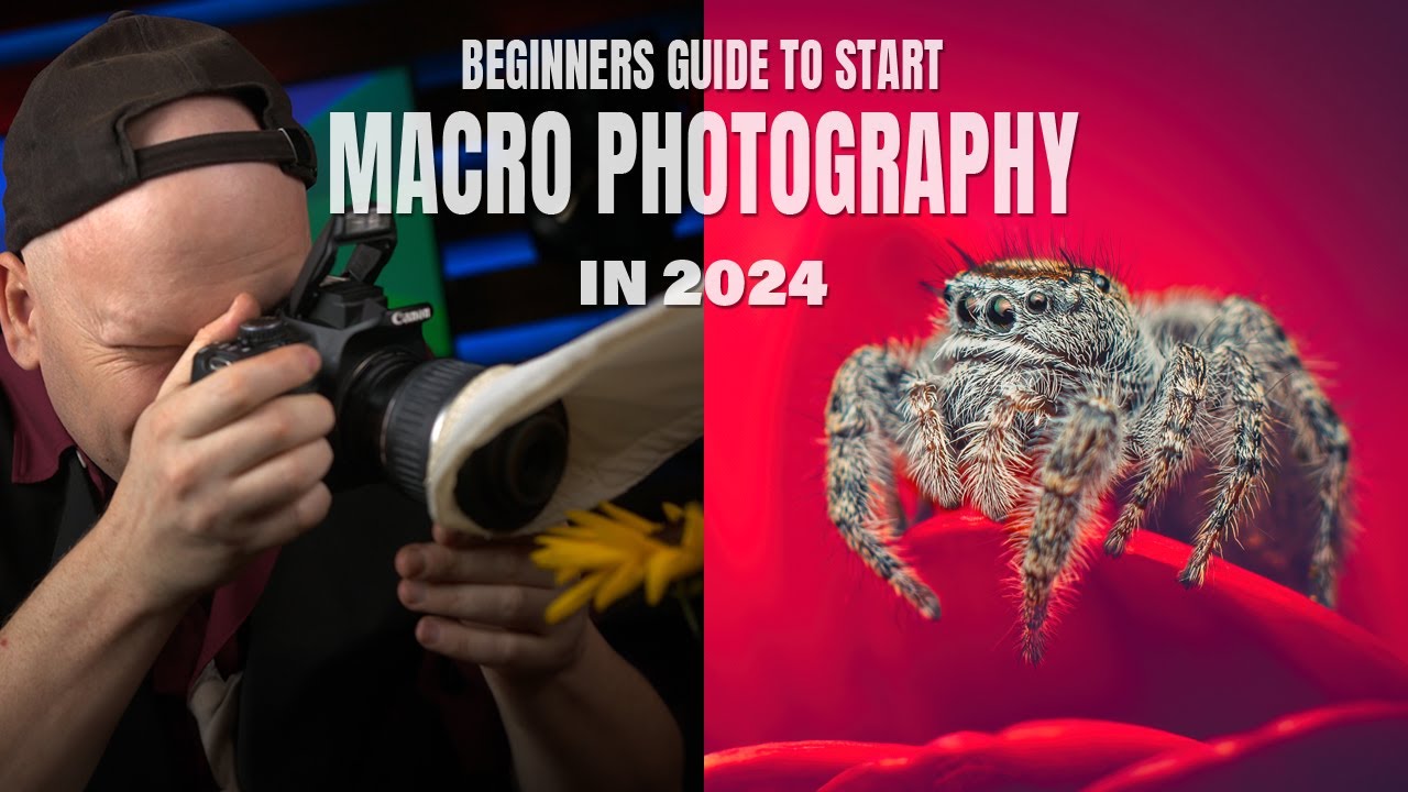 6 ways to start macro photography in 2024