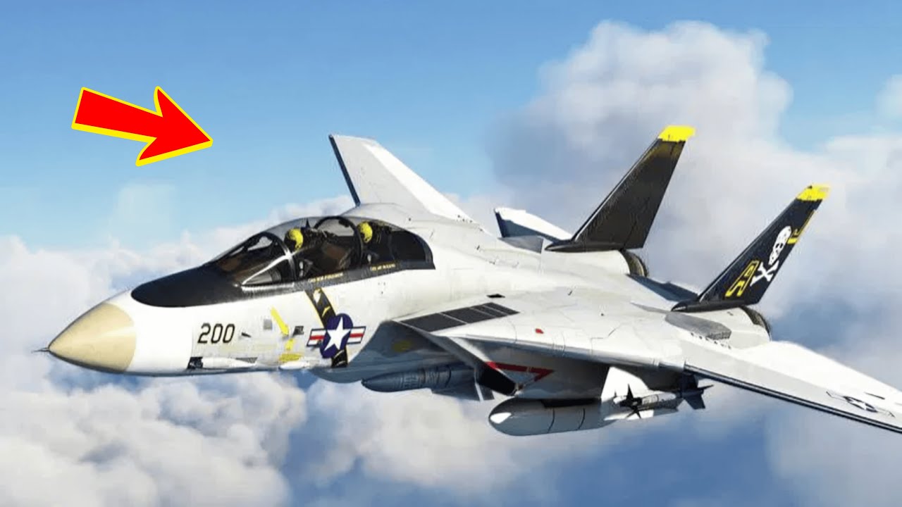 F-14 Tomcat: 15 Weird Facts You Didn't Know