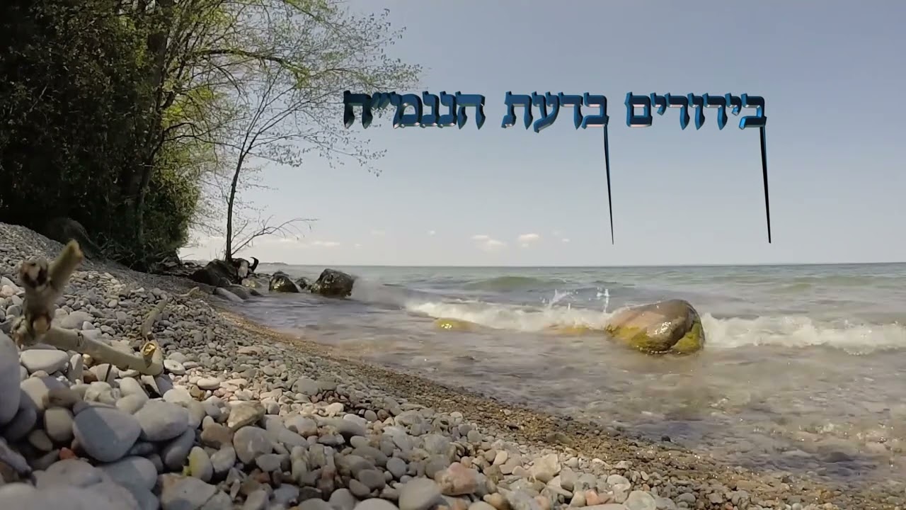 מפורסם ! גונב ! נואף ! ורוצח ! ● הרב אברהם פלג כהן