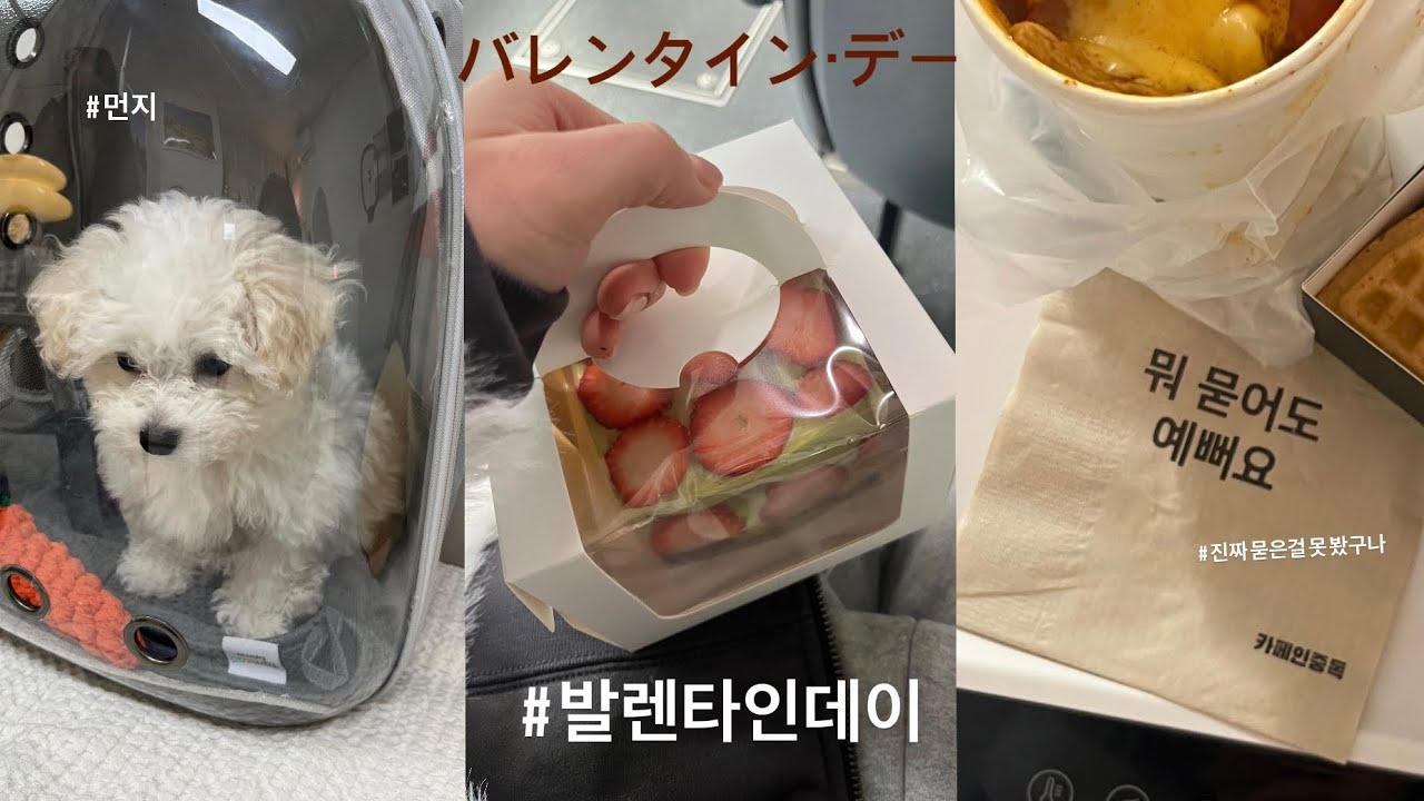 발렌타인데이