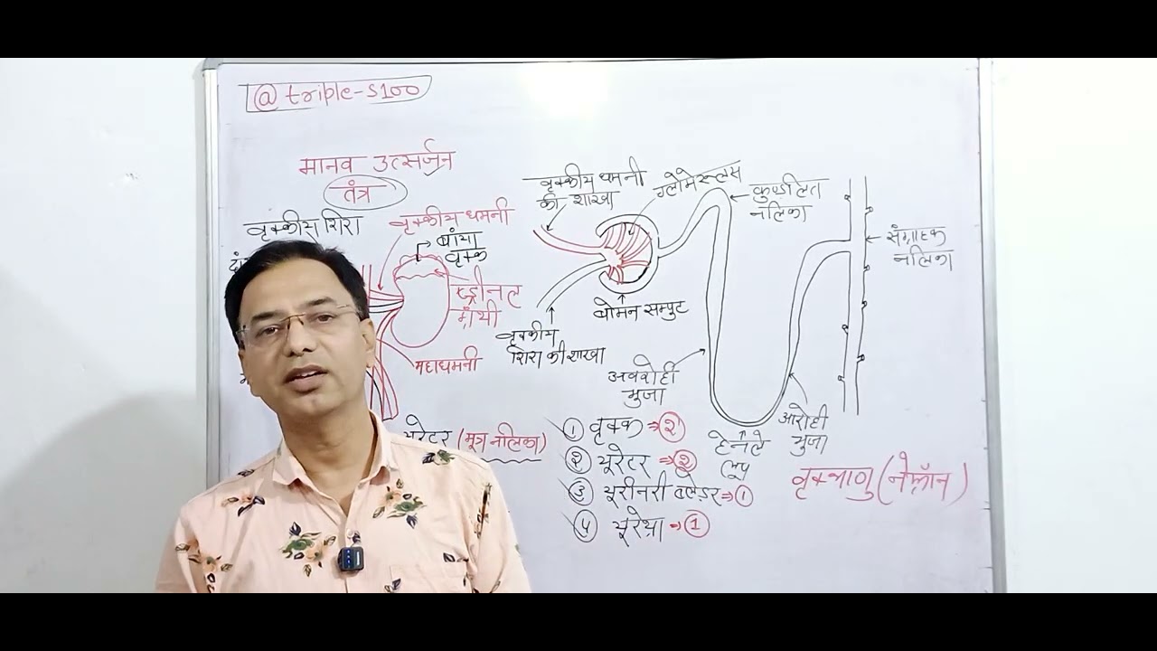 Urin nirman ki prakriya #class10 science #
