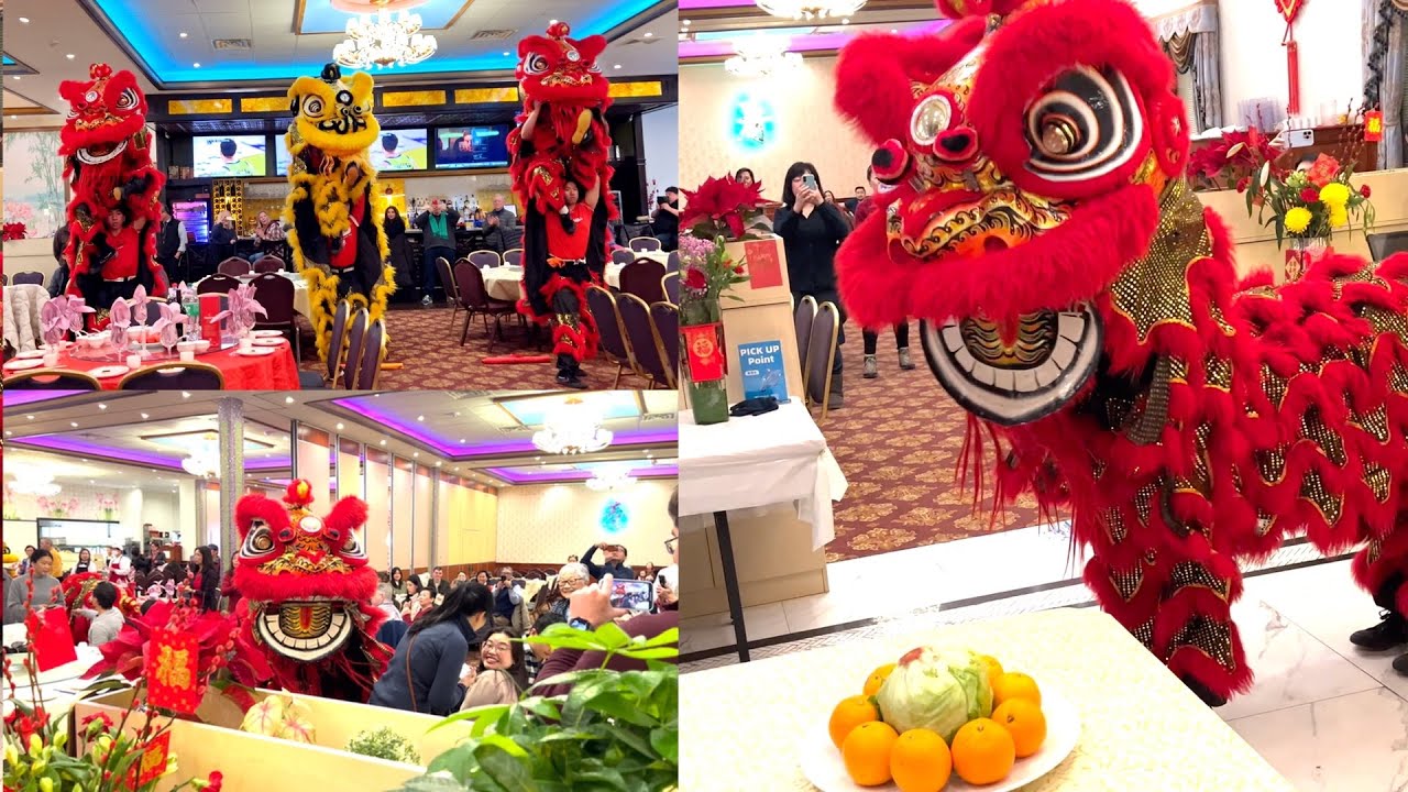 2025 Joyful Garden - CNY Event Imperial Lion Dance USA with Drumming Outside Boston Chinatown