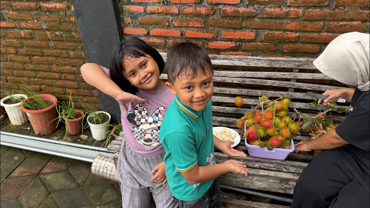 Panen rambutan bersama papa dan mbah / Ardy Aryaku Msay Family / part 2
