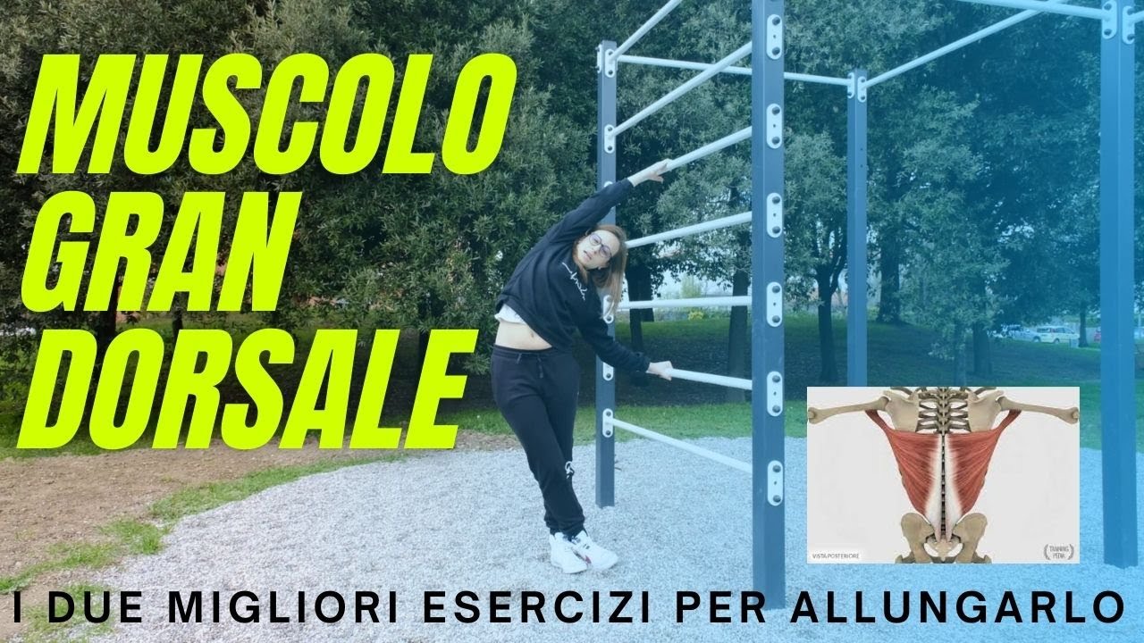 2 esercizi FONDAMENTALI di allungamento per il muscolo GRAN DORSALE