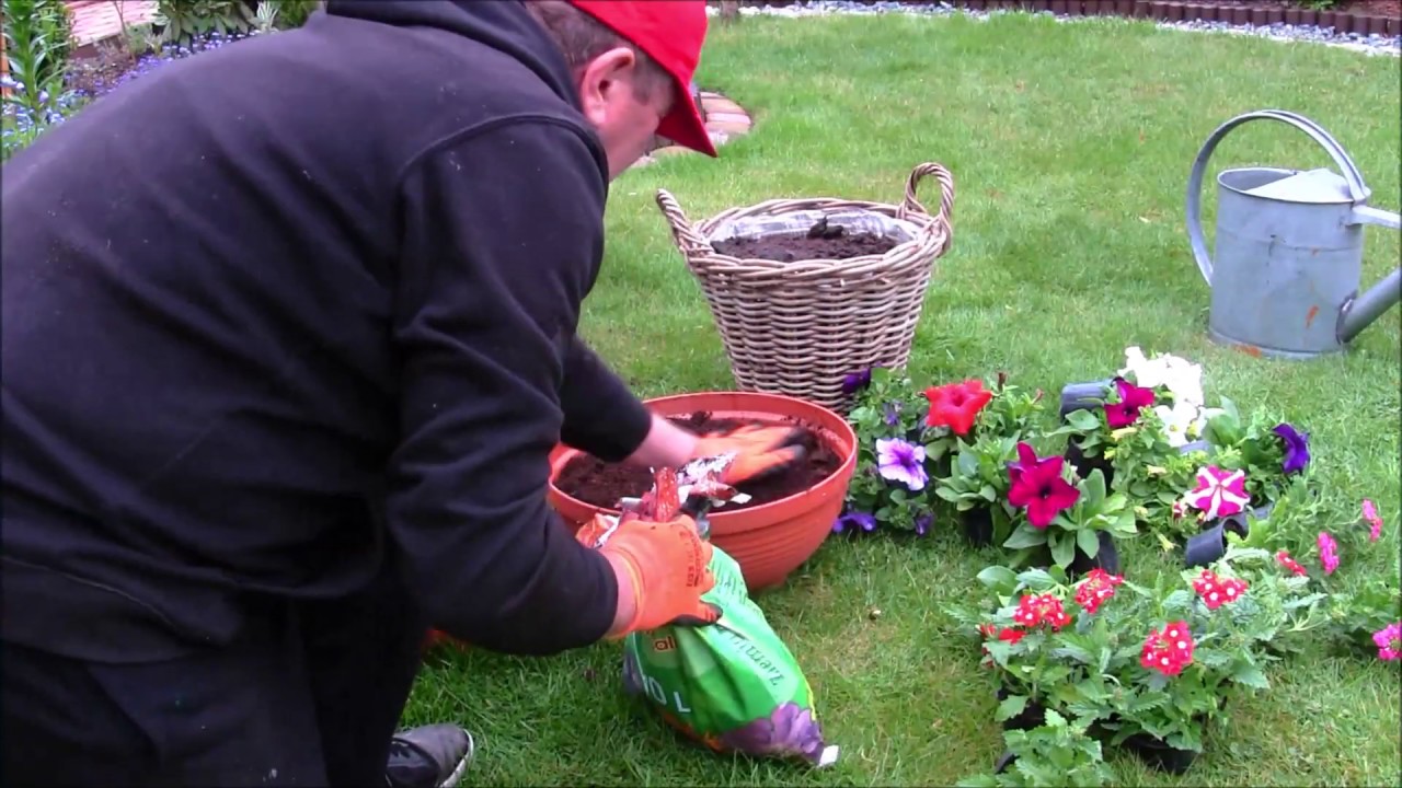 🌻GARDEN 82 - Aphids on pink - We will sow cucumbers - Flower arrangements.