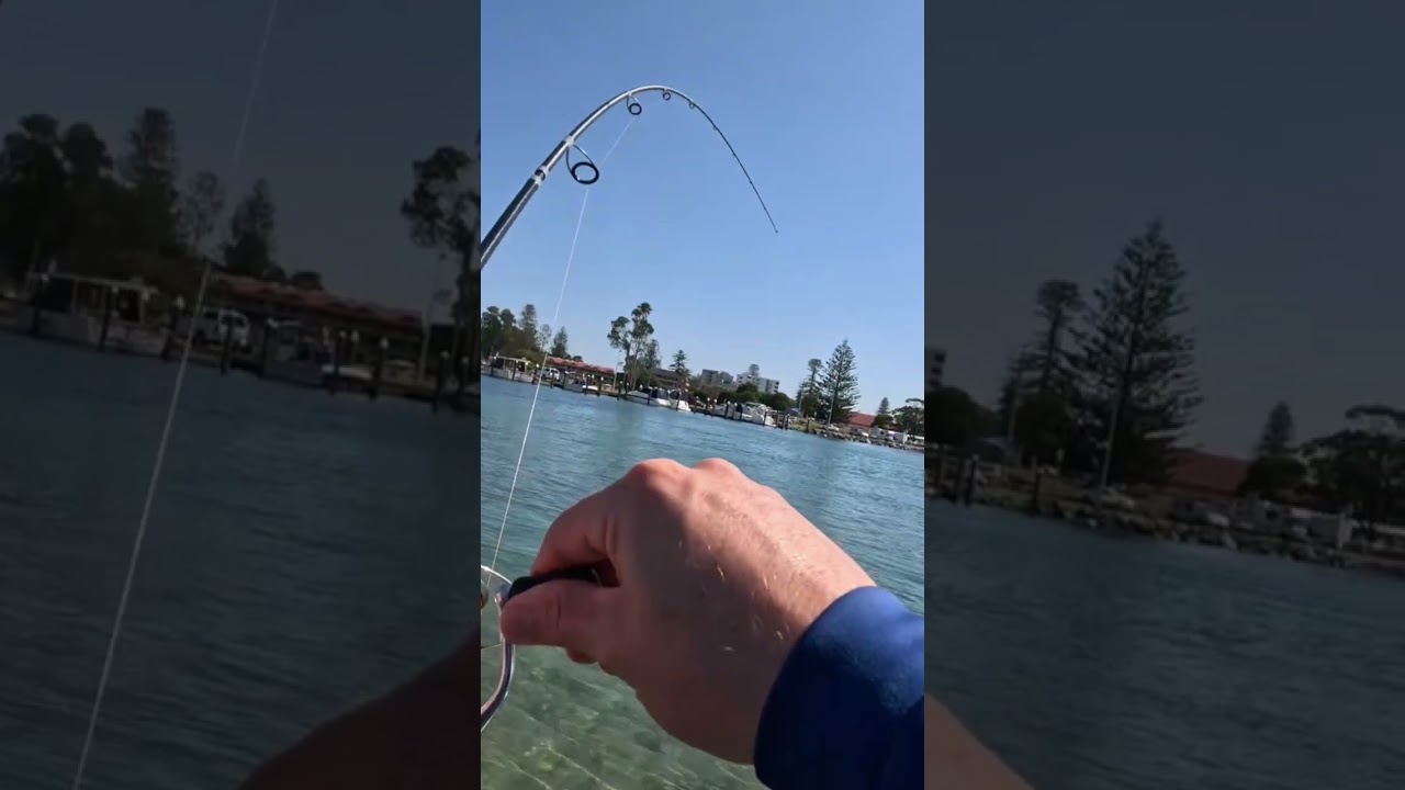 When a good size flatty hits the 4