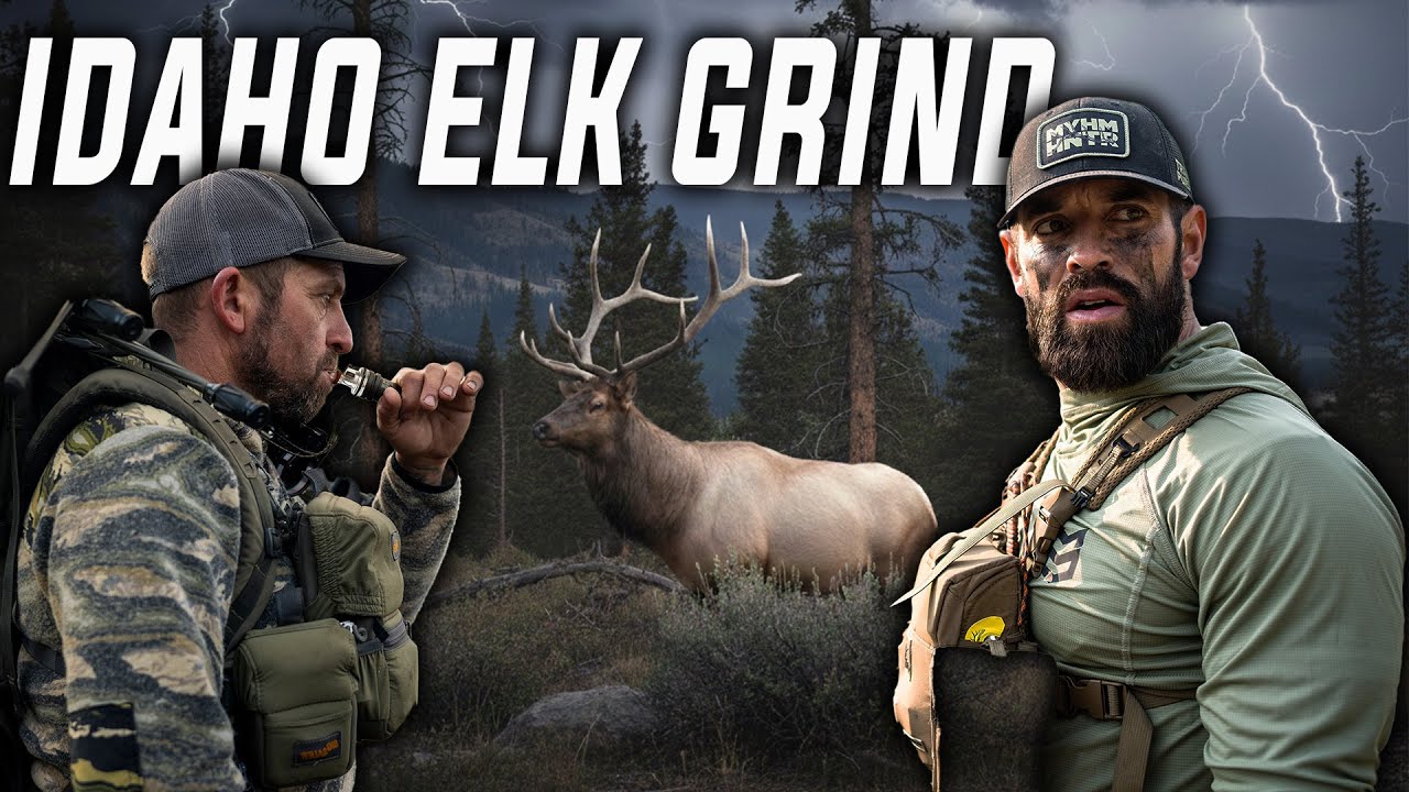 Archery Elk Hunting Idaho With Rich Froning (4k Hunt Film)