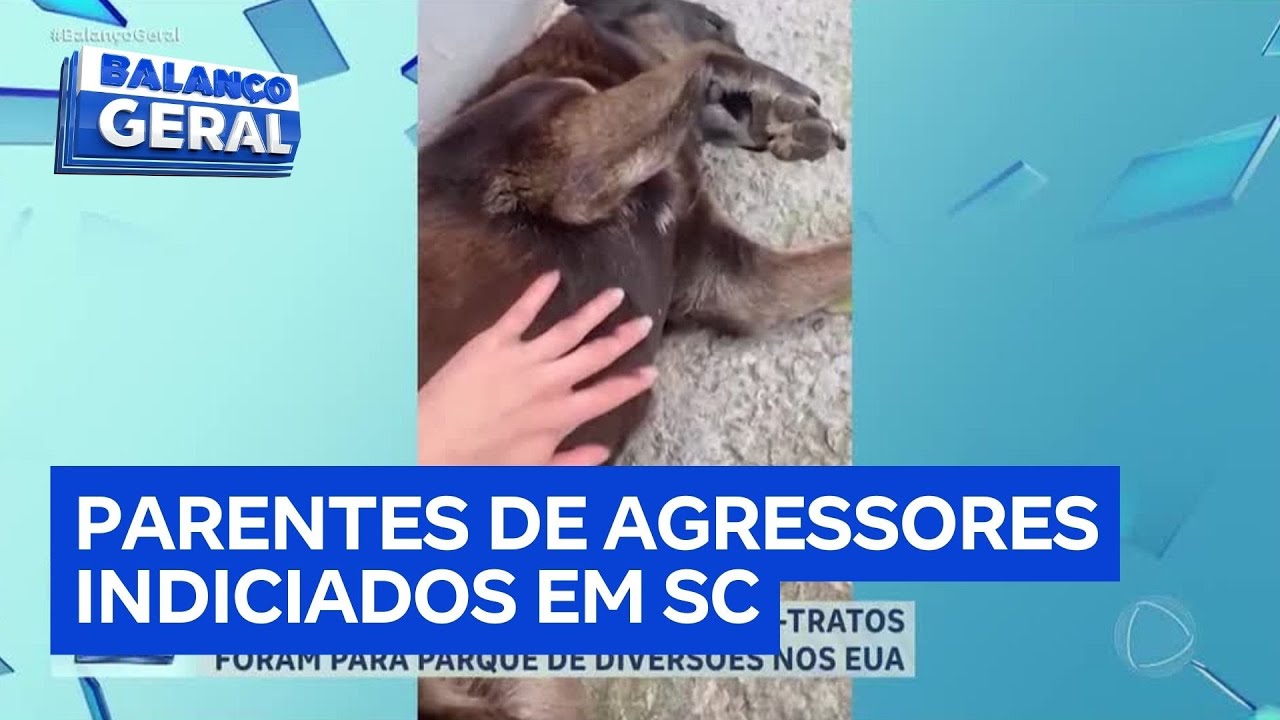 Caso Orelha: parentes dos adolescentes suspeitos de maus-tratos são indiciados