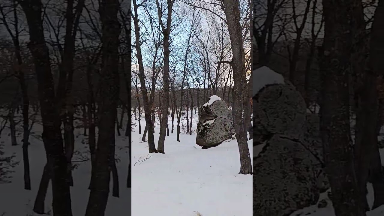 Bozkurt Düzlüğü'nde (Hasan Dağı) kış yürüyüşü 