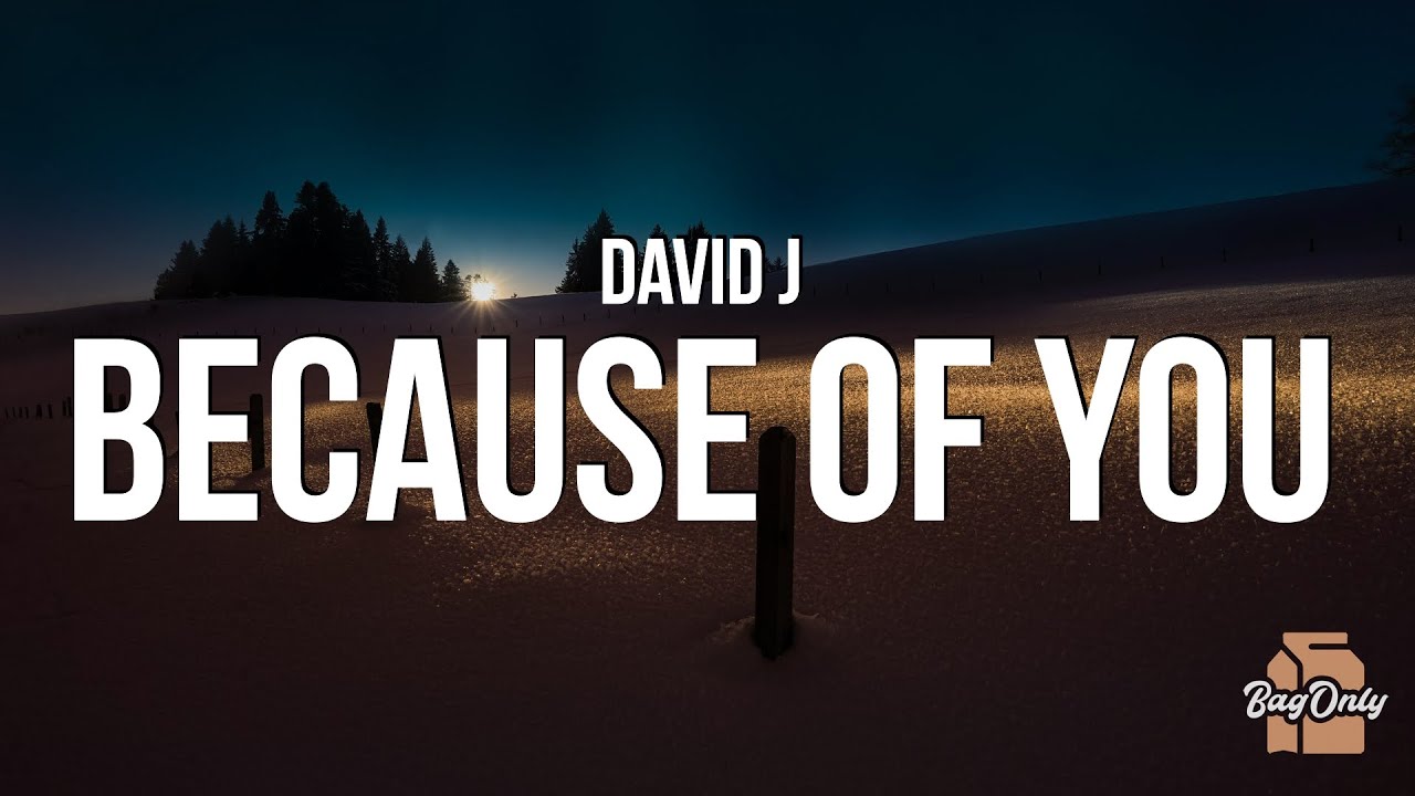 David J - Because of You (Lyrics) 